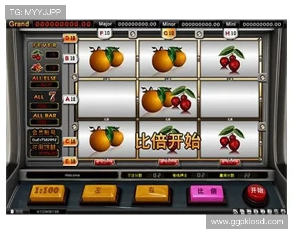 水果老虎机正规官网丰富的游戏种类，满足不同玩家的多样化需求